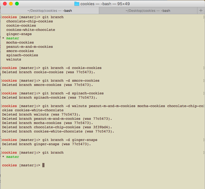 terminal window display how to delete git branches
