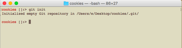 terminal window display git init